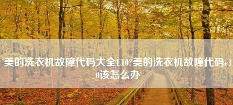 解析E1故障代码的原因与维修方法（了解E1故障代码的关键原因和有效维修方法）