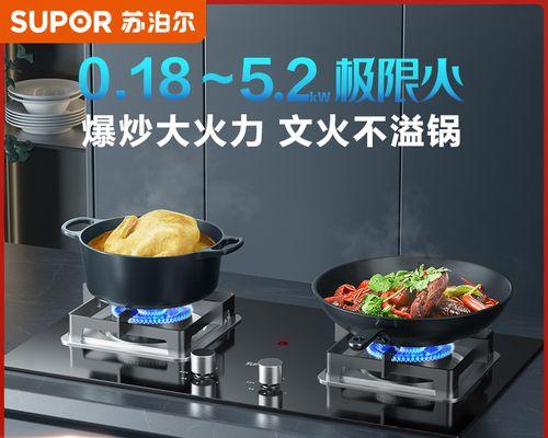 苏泊尔燃气灶着火原因探究（了解苏泊尔燃气灶着火的关键原因）