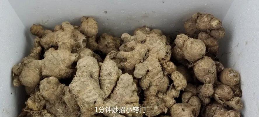 如何使用两种方法快速保存文件？遇到保存问题怎么办？