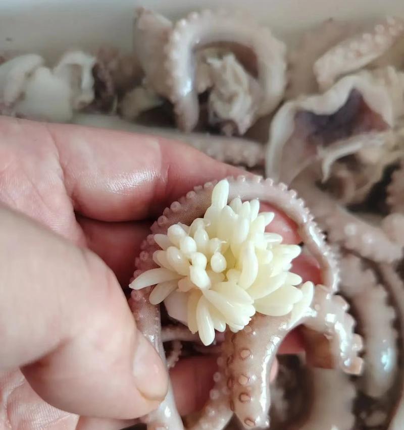手机使用八爪鱼拍摄技巧有哪些？如何拍出好看的照片？